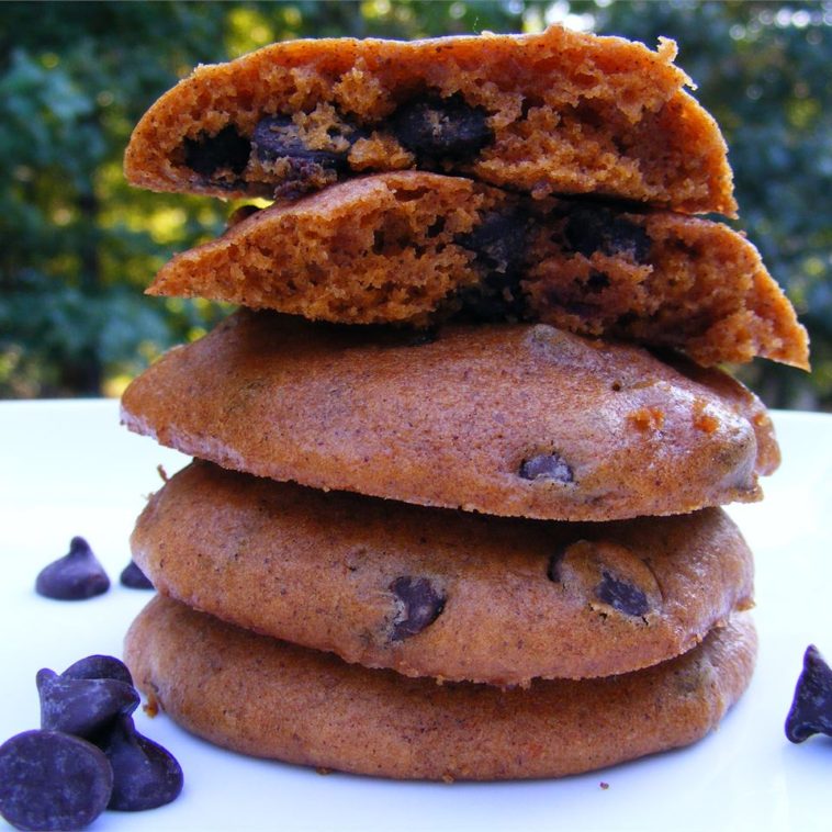 Pumpkin Chocolate Chip Cookies Recipe