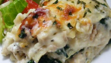 White Cheese Chicken Lasagna Recipe