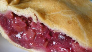 Fresh Rhubarb Pie Recipe