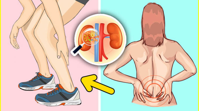 10 Early Warning Signs that your Kidneys are not working properly