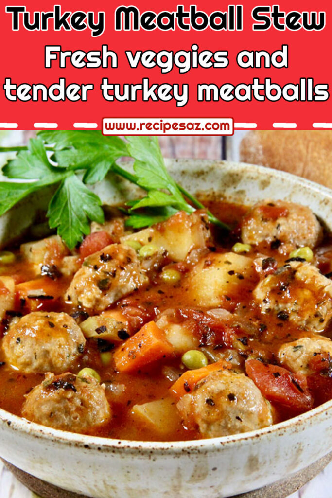 Turkey Meatball Stew Recipe